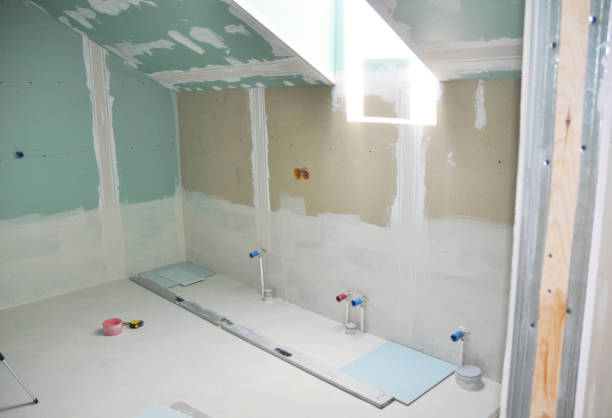 Best Attic Mold Removal  in Thompsonville, CT