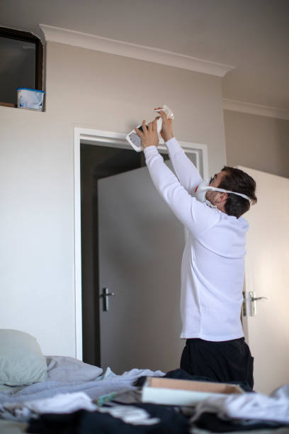 Best Real Estate Mold Inspection  in Thompsonville, CT